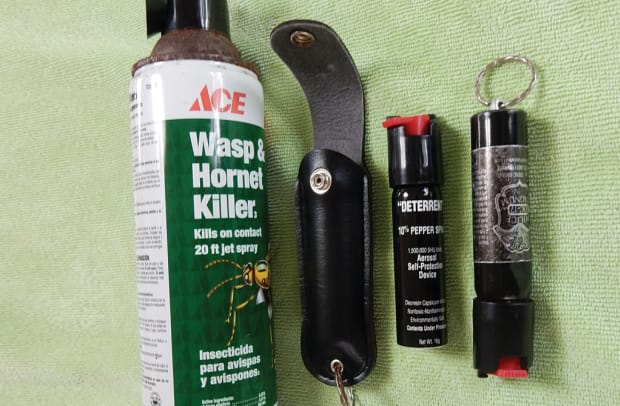 Wasp-Hornet-and-Pepper-Defensive-Sprays