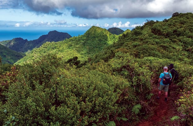 Hiking-the-lush-green-interior-of-Grenada_-Michaela-Urban-(2)