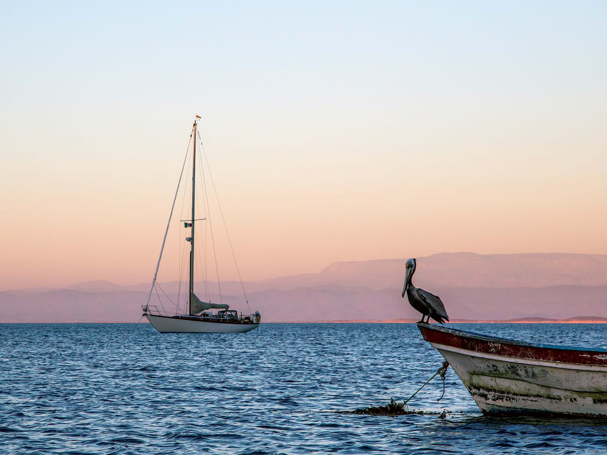 Cruising: Mexico's Baja Peninsula - Sail Magazine