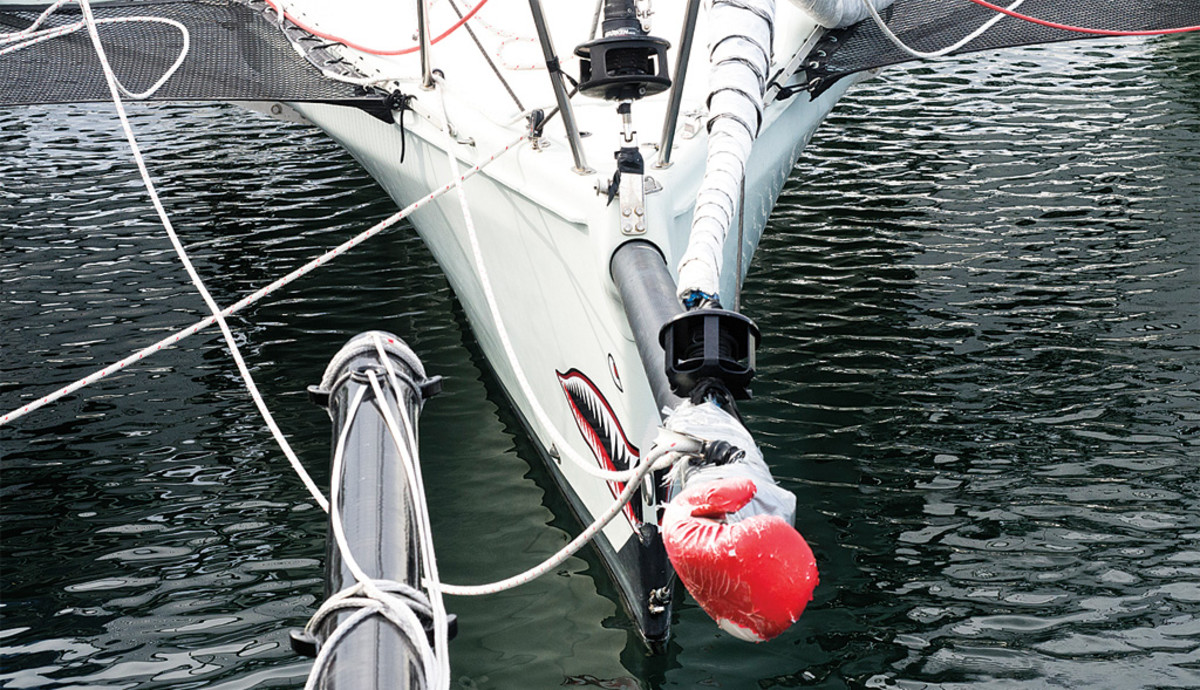Modified Farrier trimarans are a popular choice of vessel