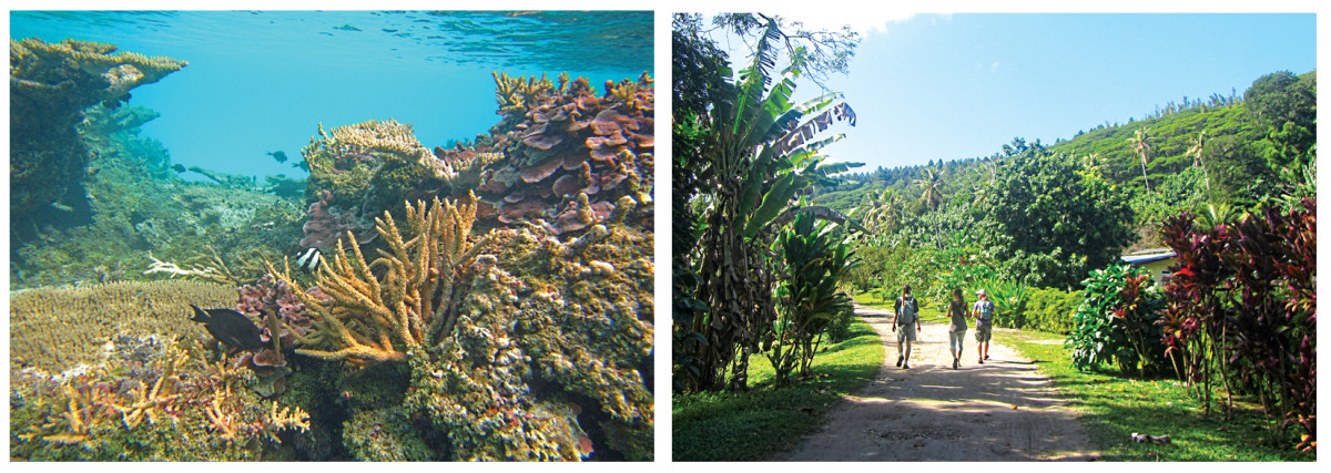 Healthy coral and plenty of fish in the lagoon (left); walking around Mangareva island during our picnic (right)
