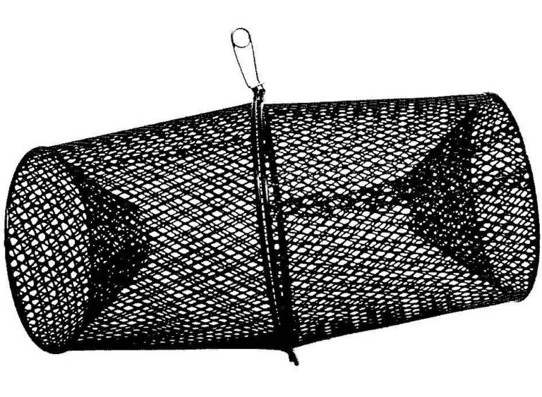 Quality Fishing Traps in 2023 - Sail Top Reviews