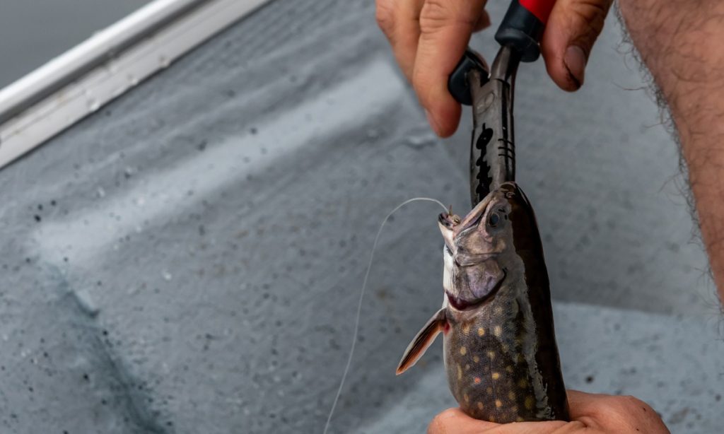 How To Prevent Fishing Pliers From Rusting
