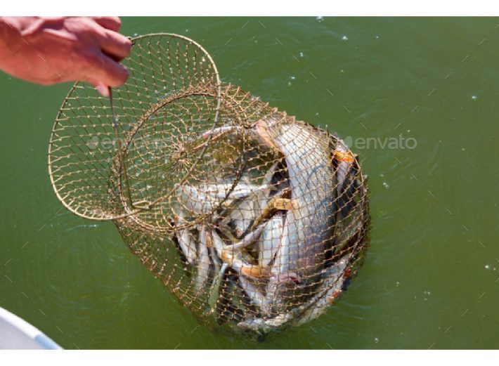 Fish Baskets Steel Wire Crab Fishing Traps for Saltwater Seawater (20 wire)