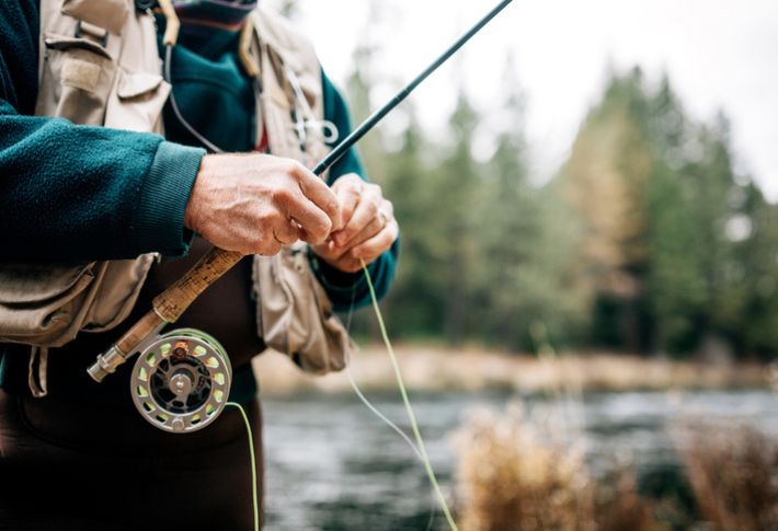 highest-rated moonshine fly fishing rods in 2024