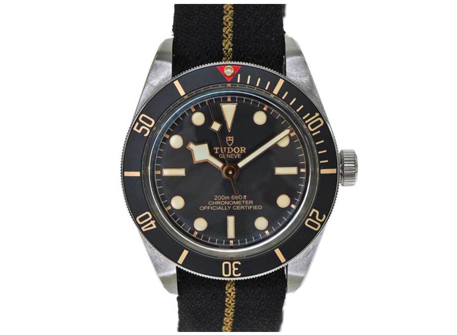 Tudor Black Bay 79030 Dive Watch
