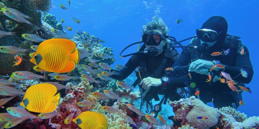 Scuba divers couple near beautiful coral reef surrounded with shoal of coral fish and three yellow butterfly fish