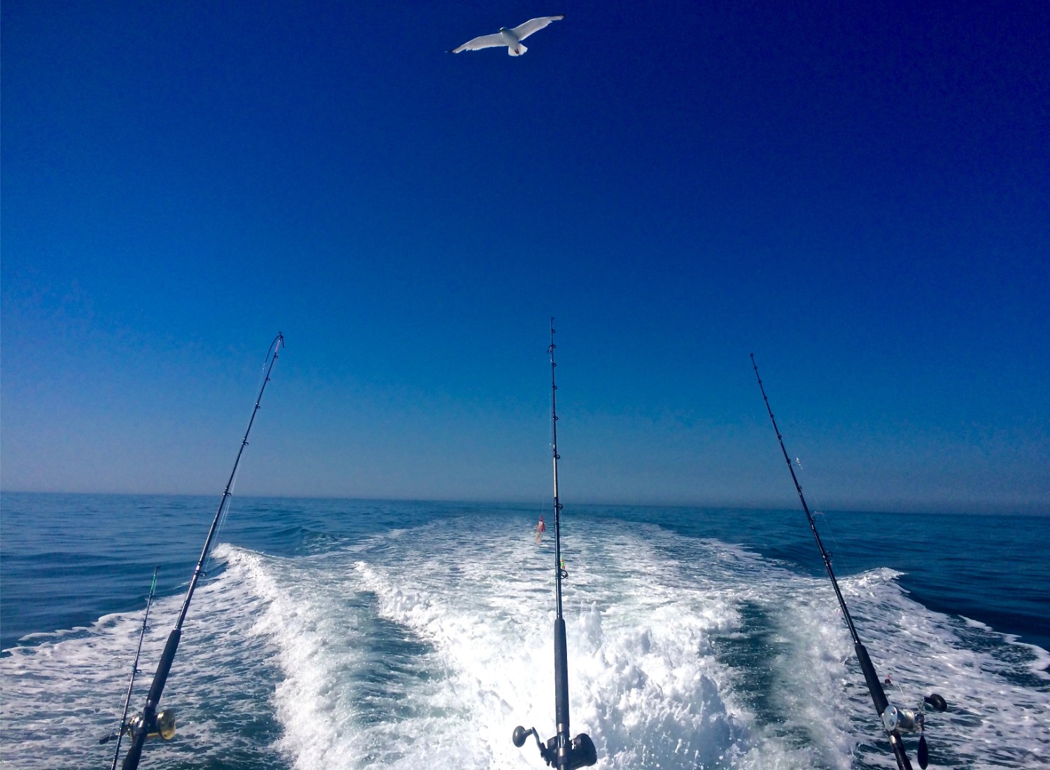 Trolling Fishing Tips and Techniques for Walleye - Green Bay