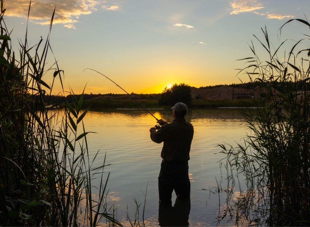 How to Read a Fish Finder Like a Pro-Angler