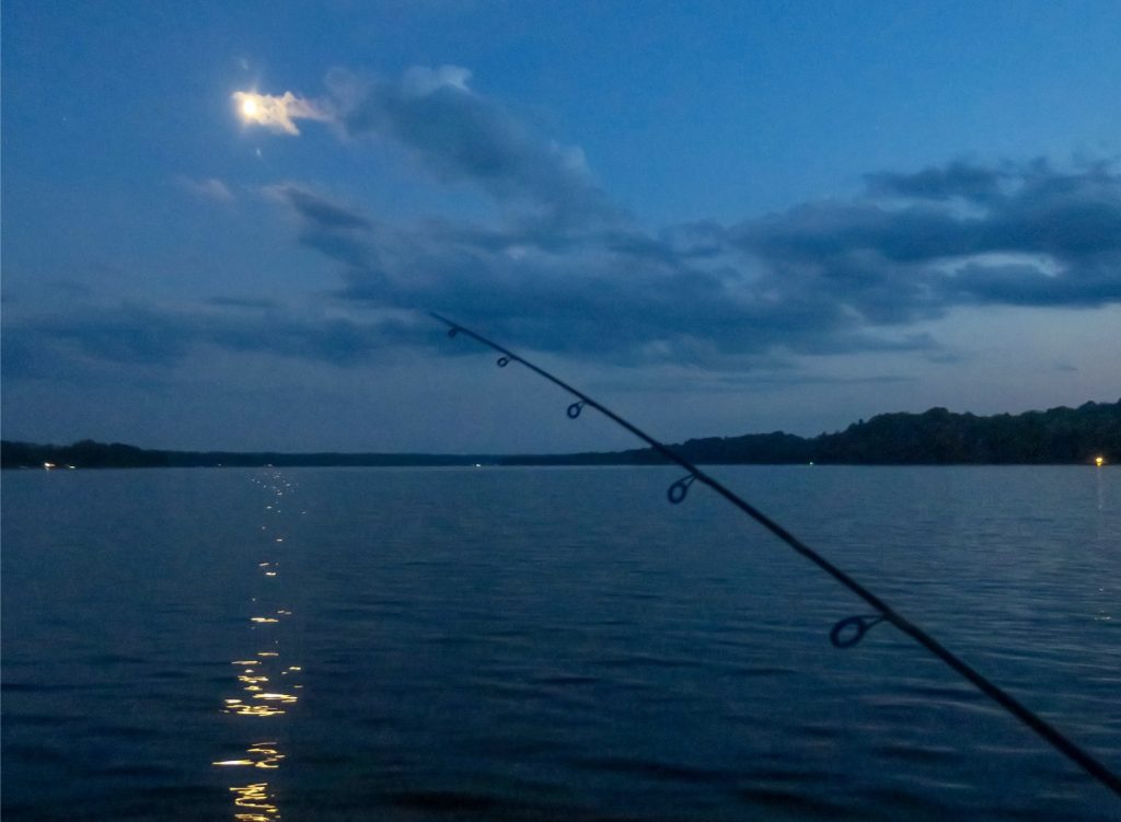 Fishing pole under moonlight