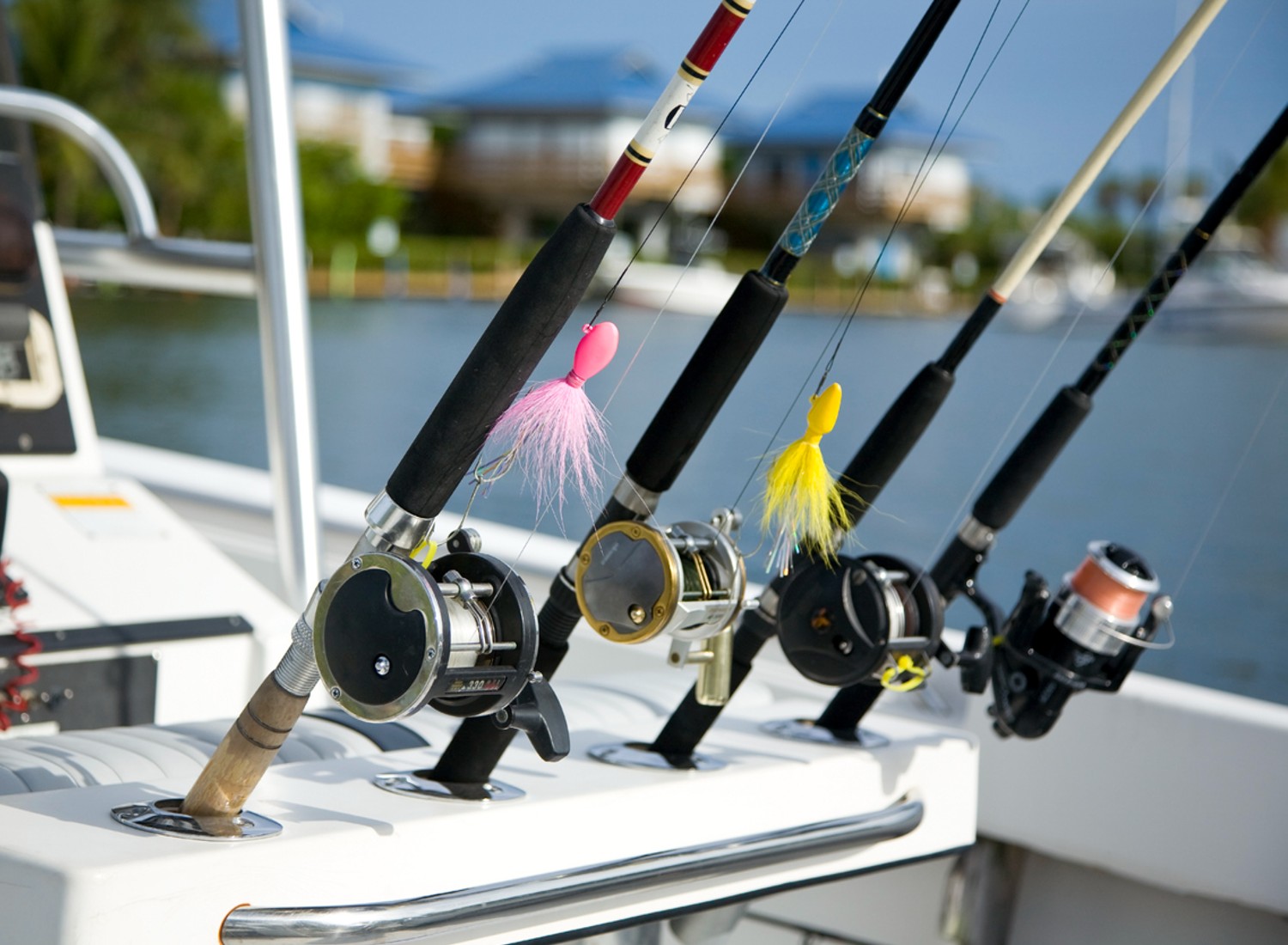 Fishing Reel Types: Everything You Need to Know